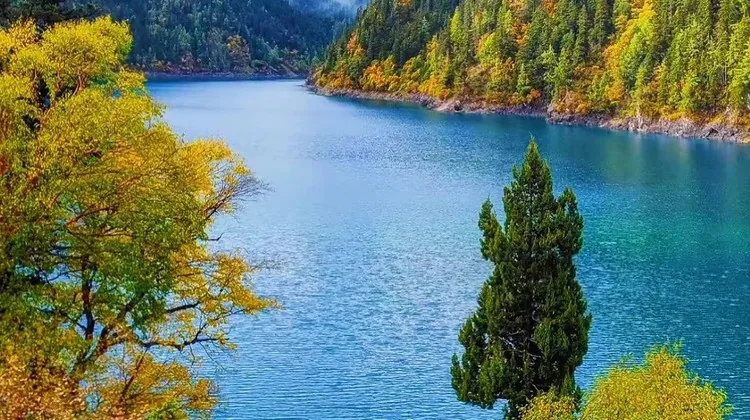 Southwest China Discovery